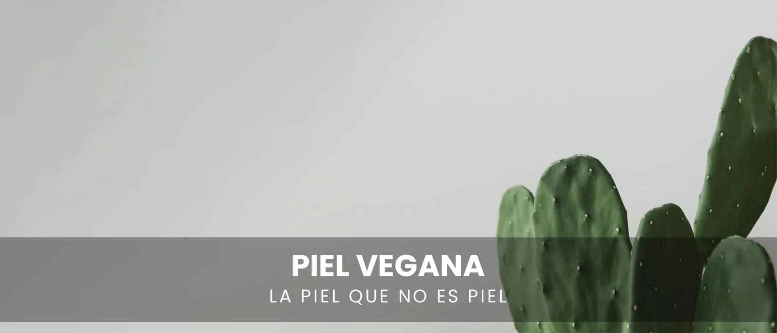 Venta de piel online