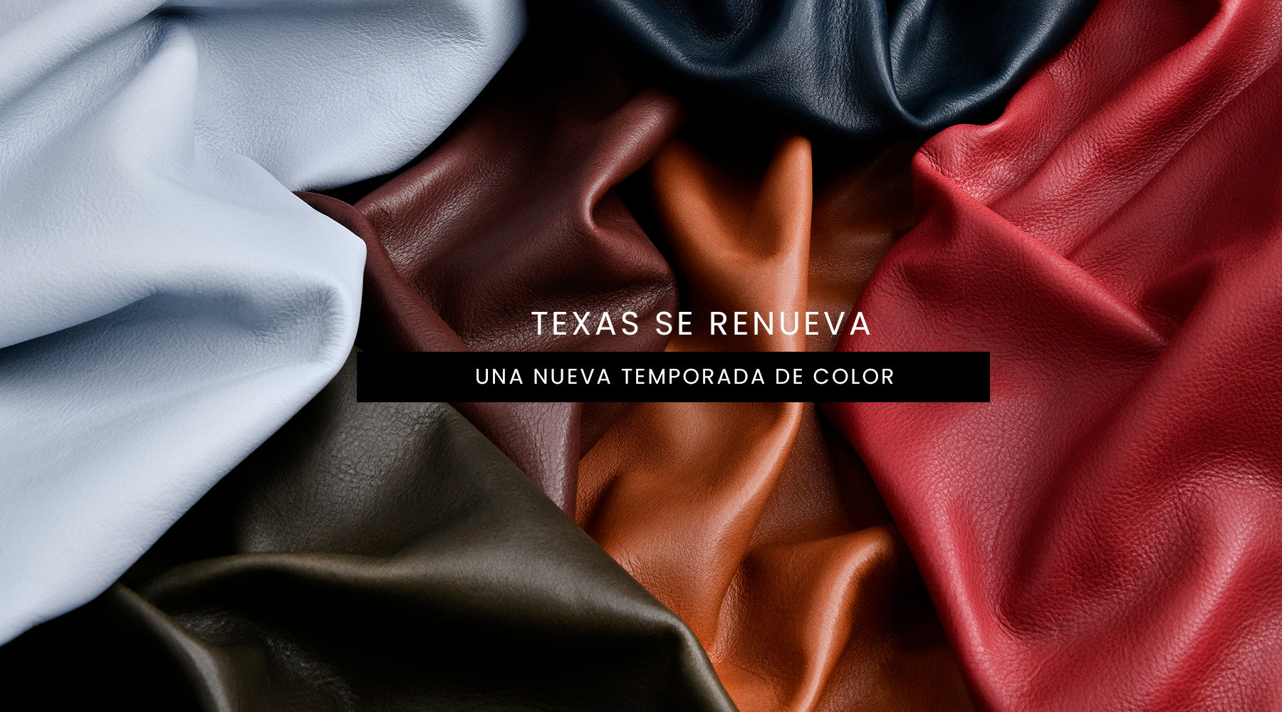 Texas se renueva: una nueva temporada de color para proyectos que buscan elegancia atemporal