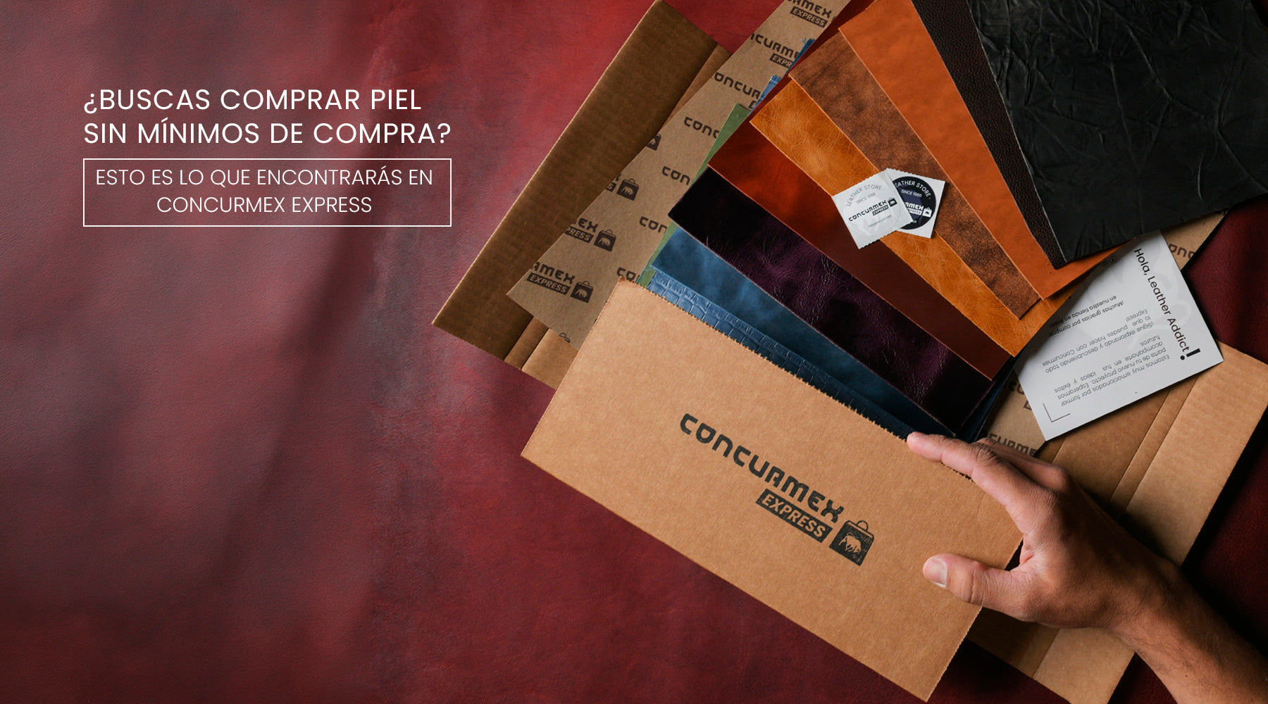 ¿Buscas comprar piel sin mínimos de compra? Esto es lo que encontrarás en Concurmex Express